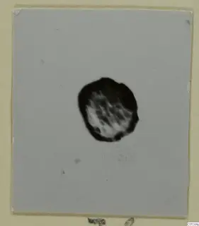 Small print of a dark, rounded fragment from Marion, centred on a grey background