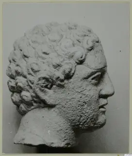 Carved head in profile facing right, with rows of tight curls over the hair and a rough-textured chin