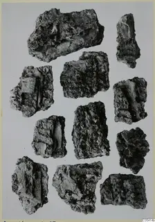 Amathus, finds from tombs 1–9
