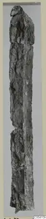 Iron weapon fragment from Amathus, long and narrow, heavily corroded, shown upright against a grey background