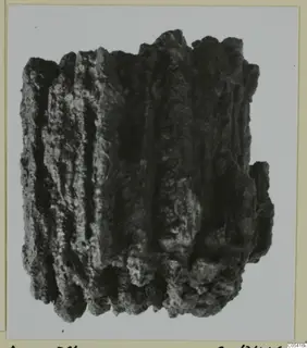 Heavily corroded iron mass from Amathus, with vertical ridges and a crusted surface, possibly a bundle of iron weapons