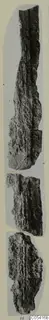 Three corroded iron fragments from Amathus, arranged end to end in a vertical strip