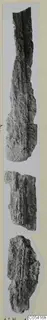 Three corroded iron fragments, long and ridged, photographed side by side on a grey card mount.