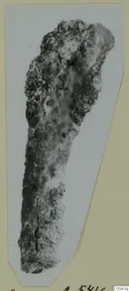 Corroded iron object from Amathus, elongated and encrusted with rust, shown on a mounted card.