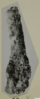 Heavily corroded iron weapon from Amathus, shown upright on a pale card mount.