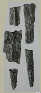 Five corroded iron fragments from Amathus, laid out separately on a white card.