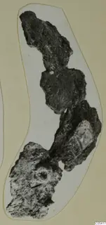 Corroded, encrusted find fragments from Amathus, cut out and mounted on a cream card.