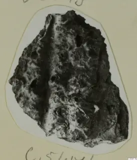 Irregular pitted fragment with dark and pale encrusted surface, mounted on a white card; find from Amathus