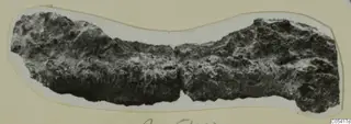 Corroded, encrusted elongated object fragment from Amathus, mounted on a cream card