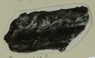 Dark, encrusted fragment of an unidentified find from Amathus, shown on a mounted print.
