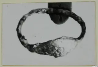 Silver loop-shaped find from Marion, photographed on a card mount