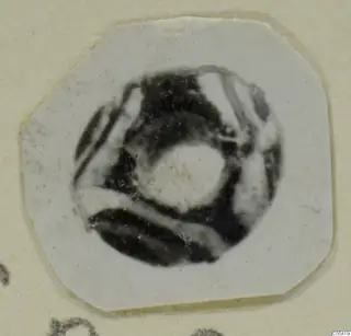 Small silver ring or bead with a central hole and dark banded pattern, shown on a white card mount.