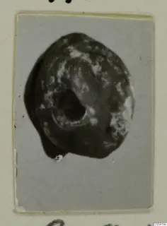 Small rounded dark stone object with a large off-centre opening, shown on a grey card mount.