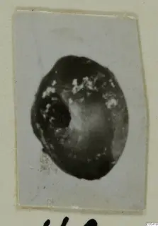 Small photograph of one dark, rounded object with pale speckles, probably a bead, from Tomb 26 at Marion