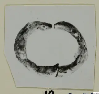 Ring from Marion, broken open at the top and bottom, dark and mottled in appearance.
