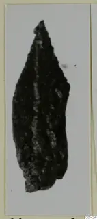 Iron weapon with a leaf-shaped blade tapering to a point, corroded and dark, photographed on a pale card.