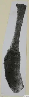 Corroded iron strigil from Marion, long and narrow with a broadened, curved end.