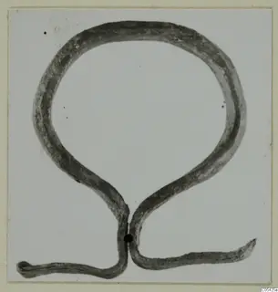 Corroded bronze loop with two tapering ends, photographed against a plain pale background