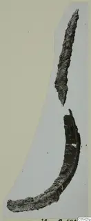 Two corroded iron objects from Marion: a narrow pointed fragment and a curved scoop-like piece.