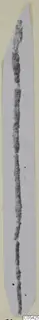 Bronze personal adornments from Marion Tomb 69: a long thin dark object on a pale card strip
