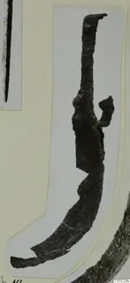 Corroded metal object with a curved lower end and a small bent projection, shown on a mounted card, from Marion