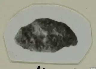 Fragment of an object from Marion, dark and mottled, shown on a white cut card mount.