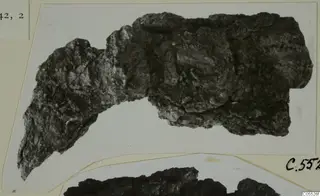 Heavily corroded iron object from Marion, with a second dark fragment partly visible at the bottom edge