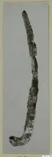 Long, slender metal object, broken into two pieces, curving at the lower end into a loop with a hole.
