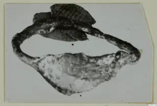 Corroded metal find recorded as silver: a curved band with a flattened plate at one end, on a pale background