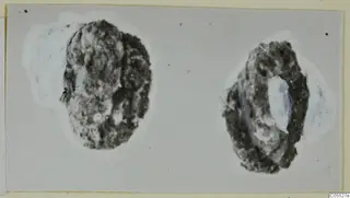 Two dark, corroded metal objects on a grey card, with pale bluish patches at their sides