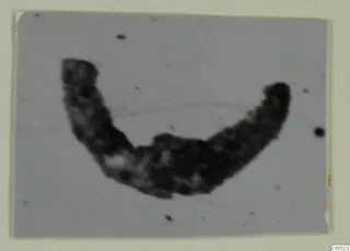 Blurred photograph of a dark, curved metal object, possibly silver, on a grey ground