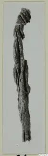 Encrusted fragment of an elongated object from Marion, with a curled upper end