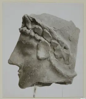 Fragment of a head in profile facing left, with rounded curls or ornament along the brow and side, against a plain backdrop.