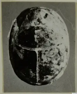 Stone scarab seen from above, its back divided by a cross-shaped line