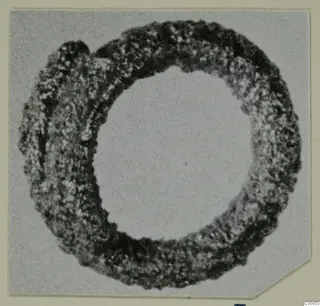 Corroded silver ring, photographed on a grey card mount, from Marion