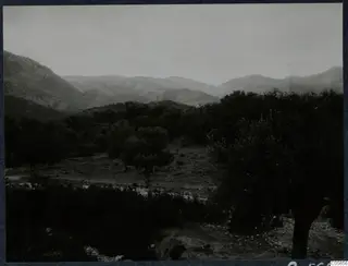 Hills and dense trees in a valley on the Karpas peninsula, with a rough track in the foreground.