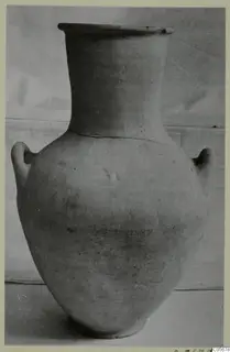 Pottery jar with a flared rim, a narrow neck and two small loop handles.