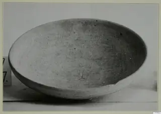 Pottery Plain White I-III bowl, shallow and pale, seen from above at an angle against a light background
