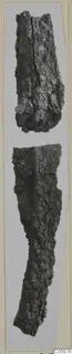 Two corroded iron fragments, one above the other, photographed upright on a light card mount