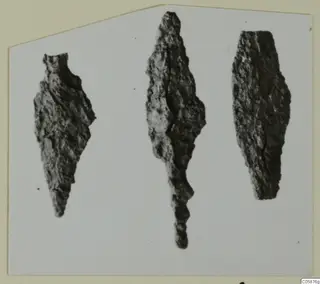 Three corroded iron weapons lying side by side on a pale card.