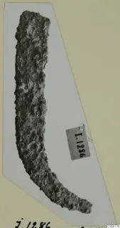 Corroded iron tool, long and gently curved, mounted on a white card, from Idalion