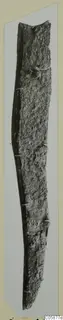 Long iron knife blade, heavily corroded, photographed upright against a pale mount.
