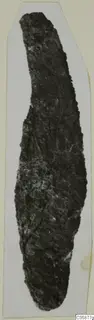 Corroded iron knife from Idalion, mounted on a pale card.