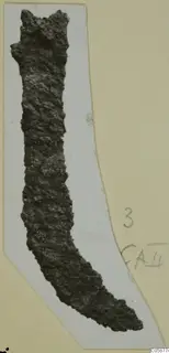 Corroded iron knife, long and curved, lying on a pale card mount.