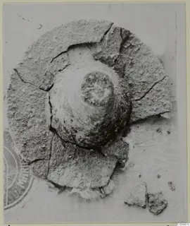 Corroded metal object with a domed body and central knob, surrounded by broken flat fragments