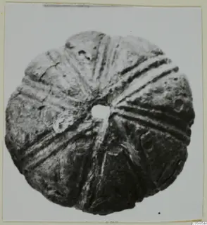 Round bronze mounting with a central hole and radiating ridges, seen face-on.