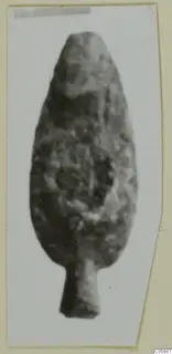 Leaf-shaped weapon blade with a short tang, photographed upright against a pale background.