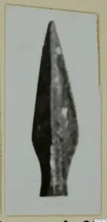 Leaf-shaped arrowhead with a narrow tang, shown alone on a light card mount.