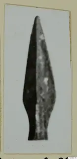 Arrowhead find, photographed upright as a single leaf-shaped point on a white card.