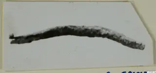 Curved lead rod, dark and blurred, lying across a pale background